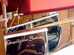 gazelle_des_sables (26)