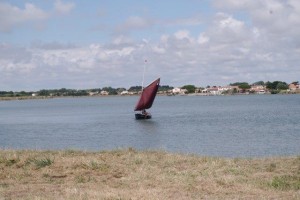 petit-voilier-transportable-insubmersible-sables-d-olonne-2017 (13)