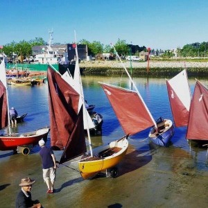 petit-voilier-transportable-semaine-du-golfe-morbihan-gazelles