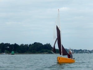 semaine-du-golfe-gazelle-des-sables-manu (1)