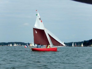 semaine-du-golfe-gazelle-des-sables-manu (3)