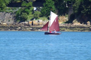 semaine-du-golfe-gazelle-des-sables-voilier (12)