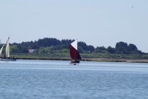 semaine-du-golfe-gazelle-des-sables-voilier (15)