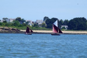 semaine-du-golfe-gazelle-des-sables-voilier (17)