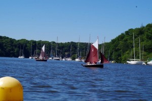 semaine-du-golfe-gazelle-des-sables-voilier (18)