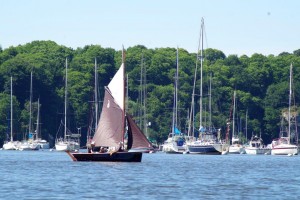 semaine-du-golfe-gazelle-des-sables-voilier (19)