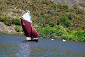 semaine-du-golfe-gazelle-des-sables-voilier (21)