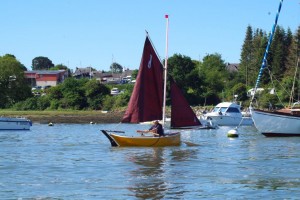 semaine-du-golfe-gazelle-des-sables-voilier (3)