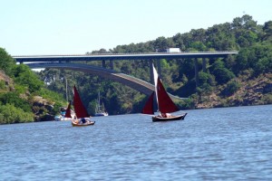 semaine-du-golfe-gazelle-des-sables-voilier (35)