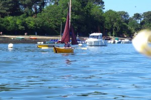 semaine-du-golfe-gazelle-des-sables-voilier (4)