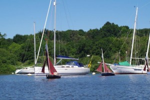 semaine-du-golfe-gazelle-des-sables-voilier (41)