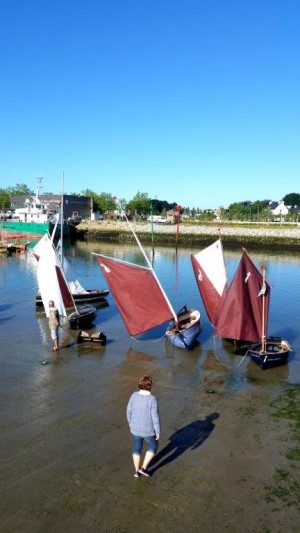 semaine-du-golfe-gazelle-des-sables-voilier (47)