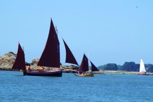 semaine-du-golfe-gazelle-des-sables-voilier (6)