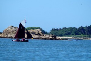 semaine-du-golfe-gazelle-des-sables-voilier (8)